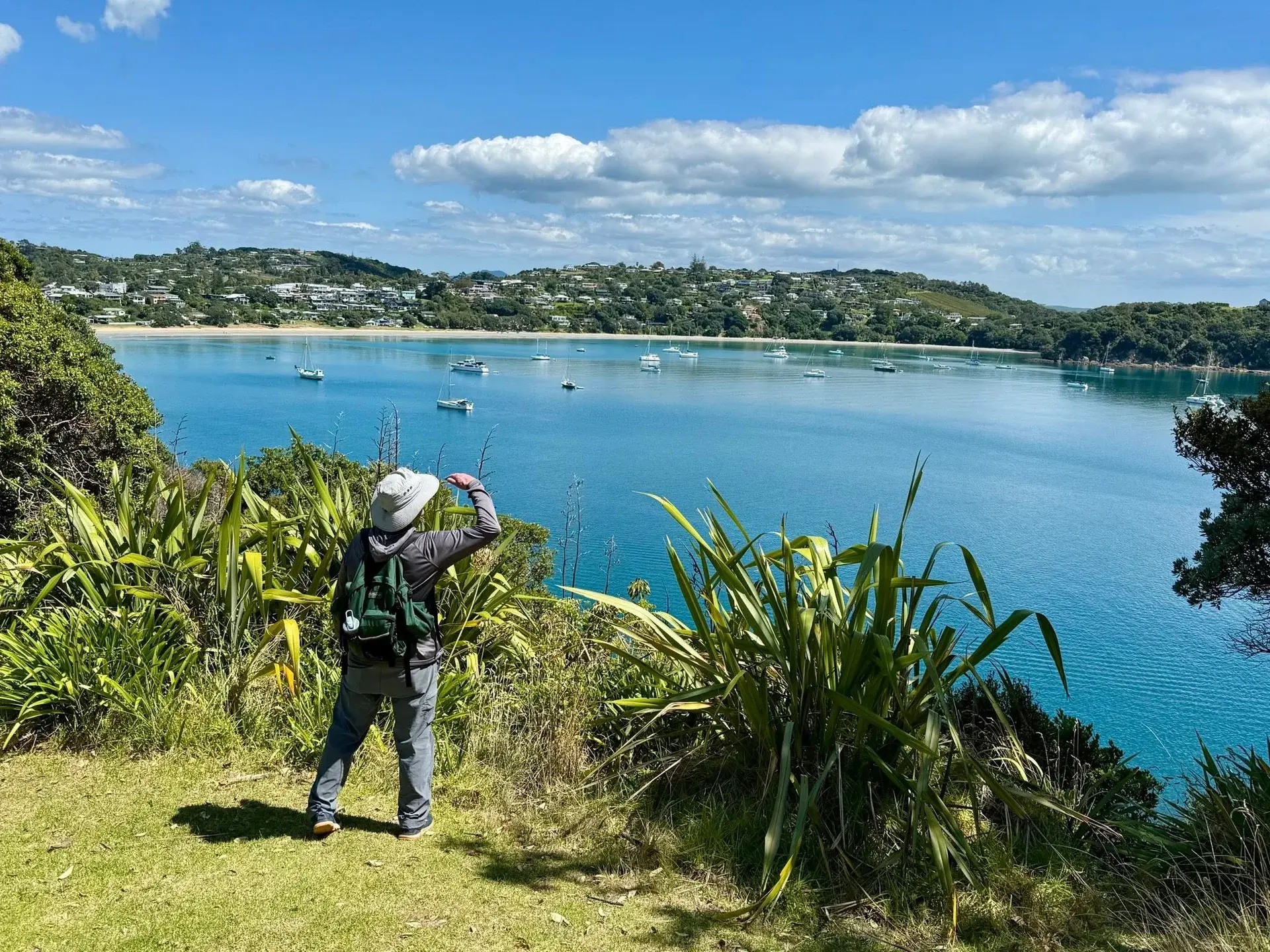 A WAI traveler standing at a clifftop overlook, hand shading their eyes, gazing across a calm blue harbor dotted with sailboats — Bay of Islands, New Zealand