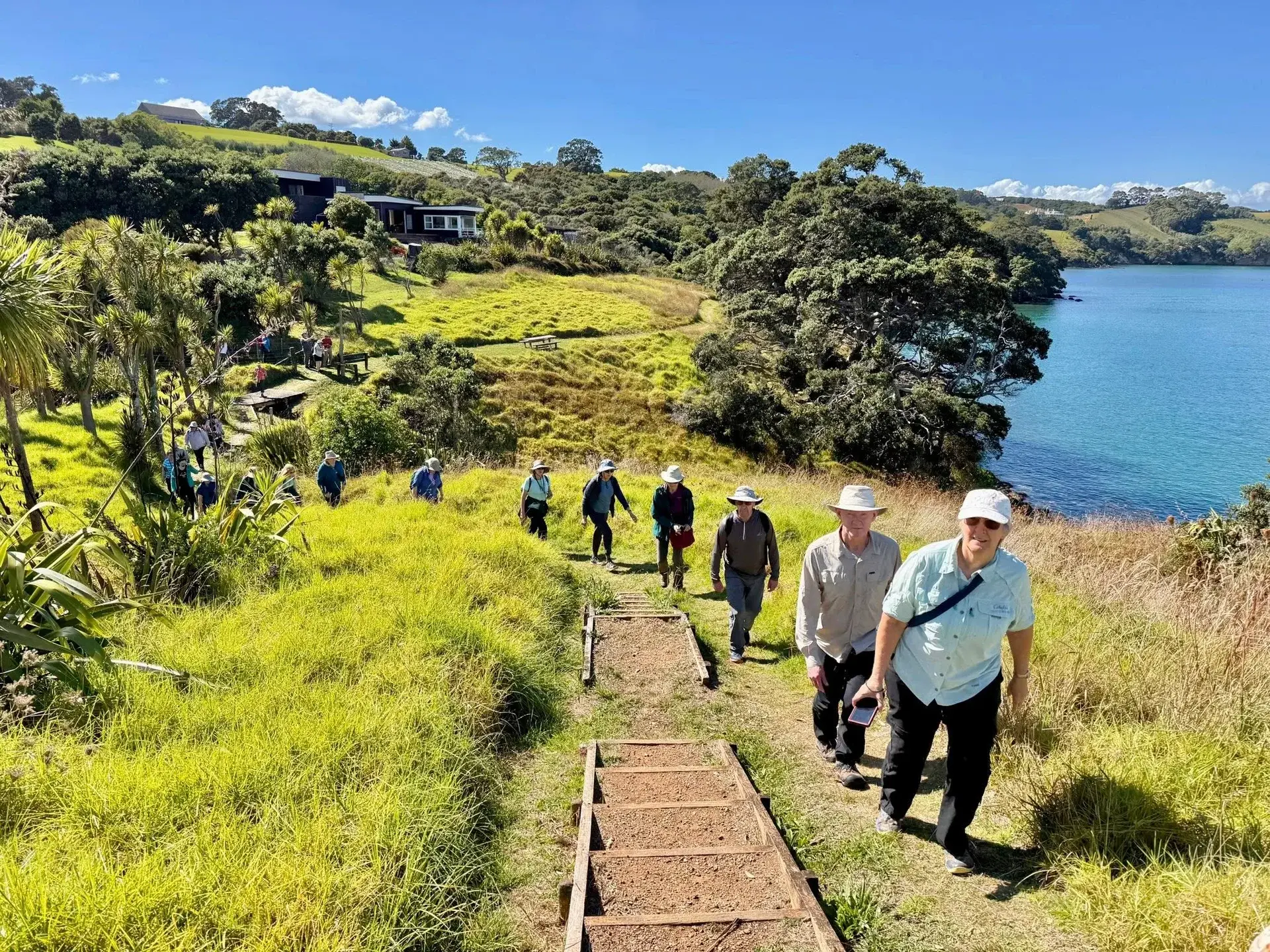 WAI travelers climbing a hillside trail above a coastal bay in New Zealand, guided in single file through native grasses with a sweeping water view behind them