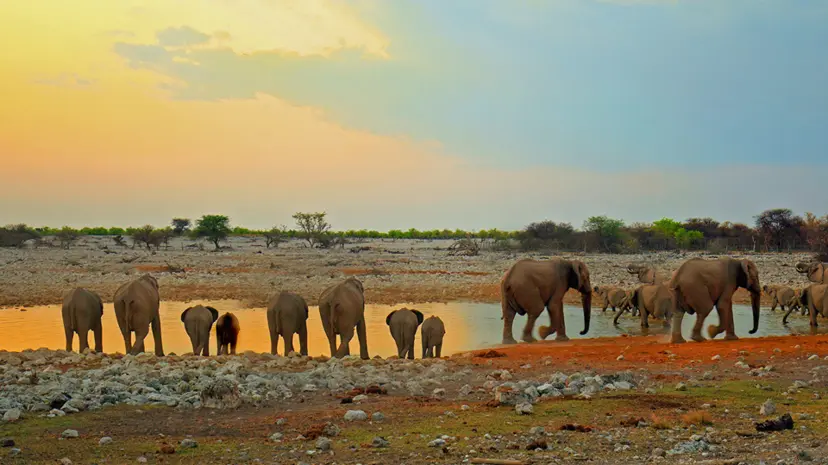 Namibia to Victoria Falls