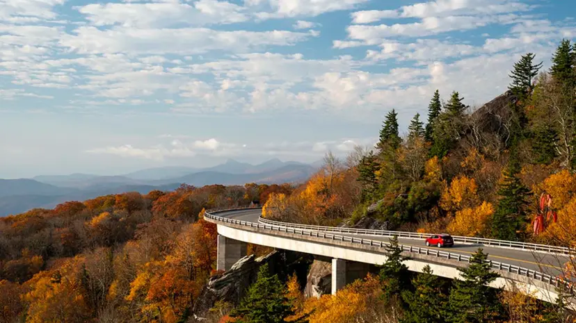 Smoky Mountains Fall Foliage