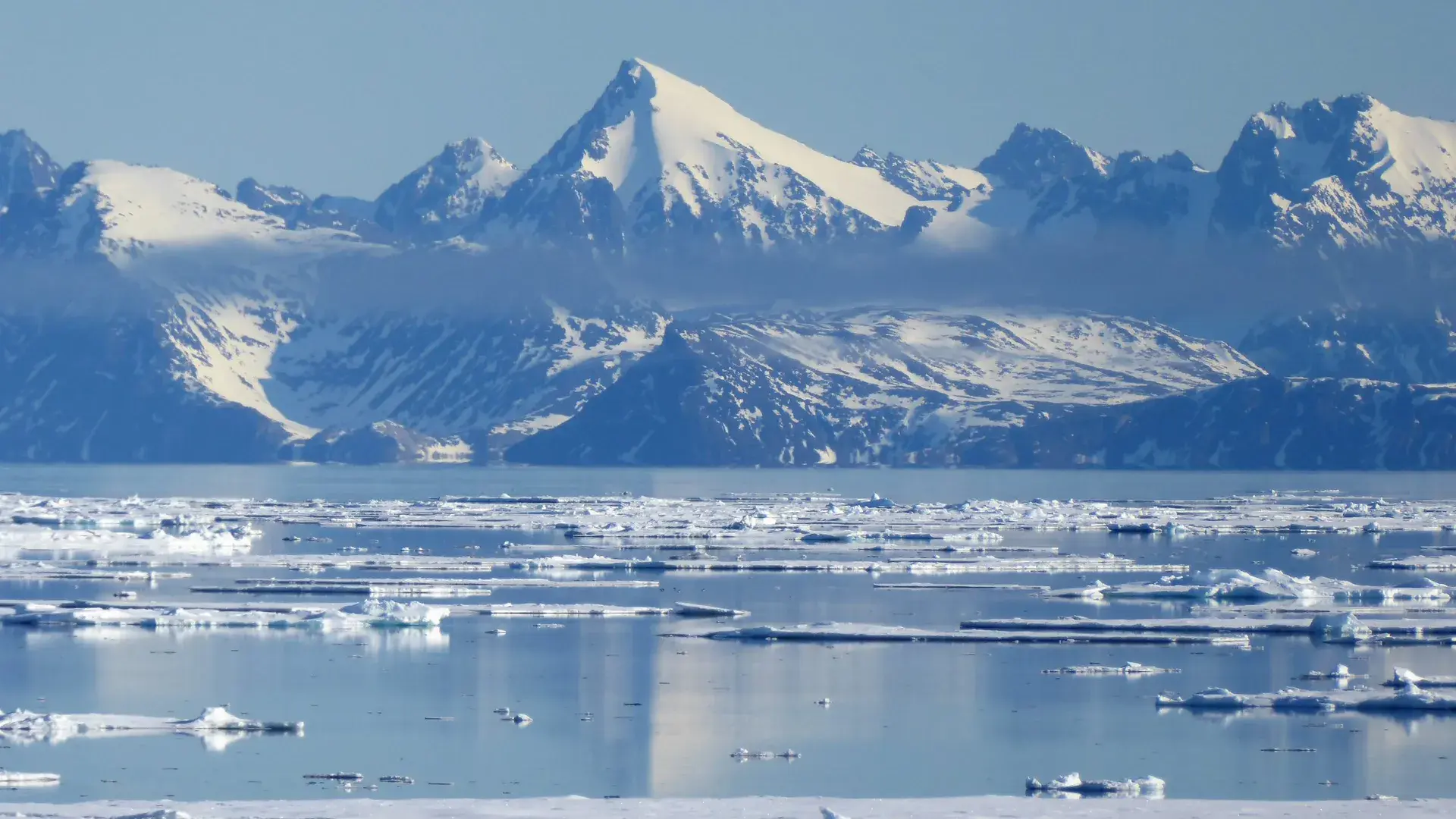 Svalbard Polar Bear Cruise