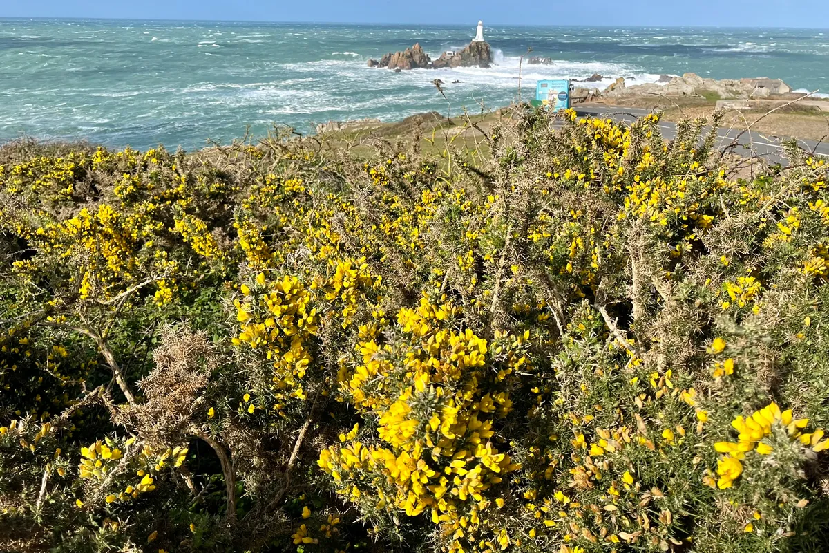 Walkers on a coastal trail in the Channel Islands with the sea behind them