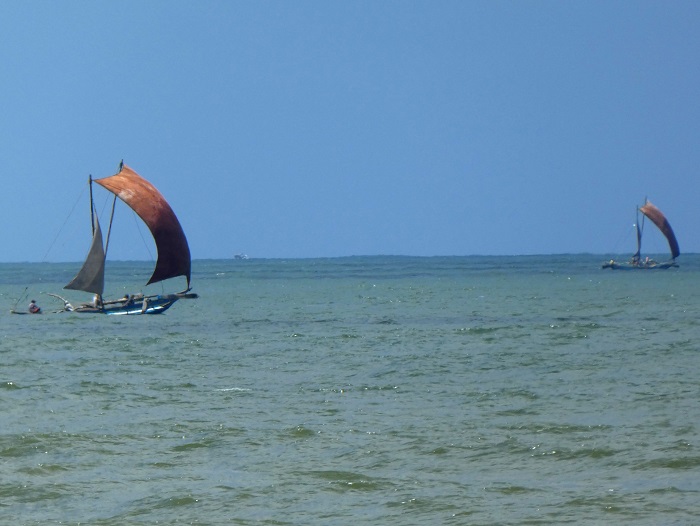 Only off the coast of Negombo can you still see these catamarans fishing for crab and prawns