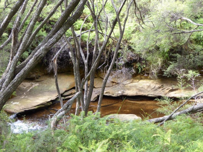 Australia Jamison Creek in the Blue Mountains