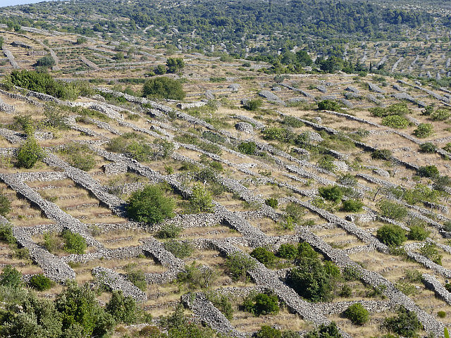 Checkboard fields of Hvar
