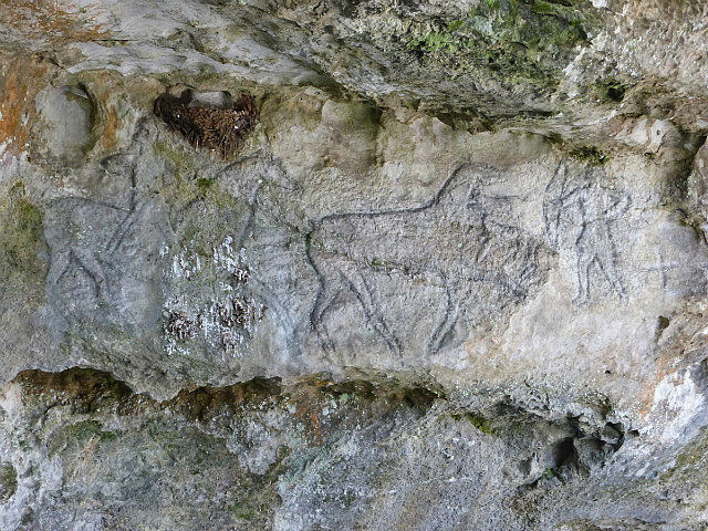 Vjetrenica Cave - cave art