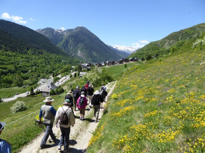 Scenes from Val d'Aran walk
