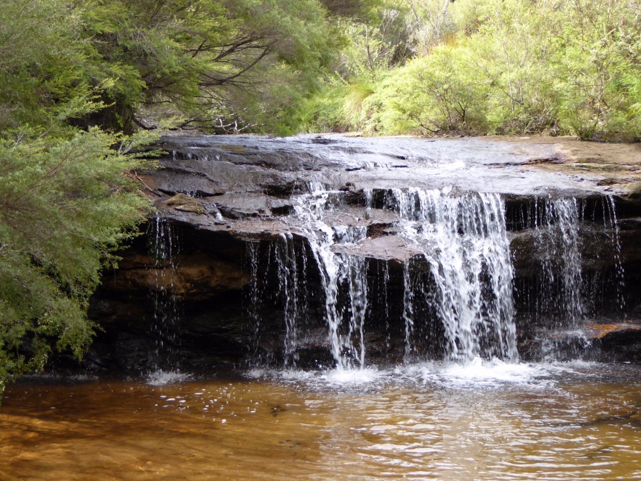 Australia Jamison Creek Waterfall