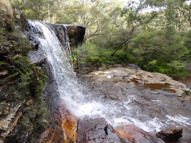 Australia Weeping Rock on Jamison Creek