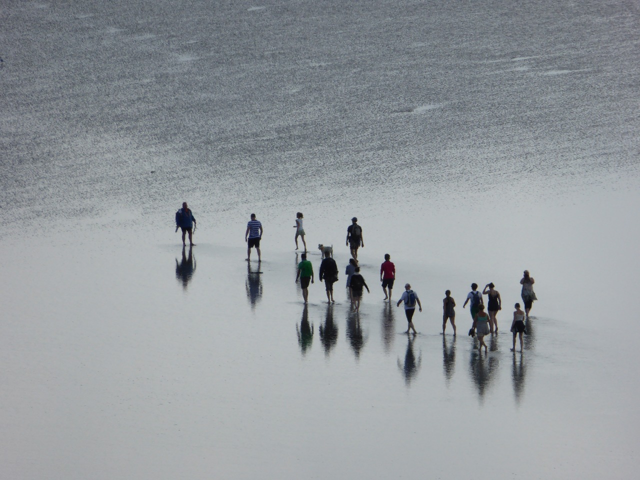 A group of walkers heads out over mud flats