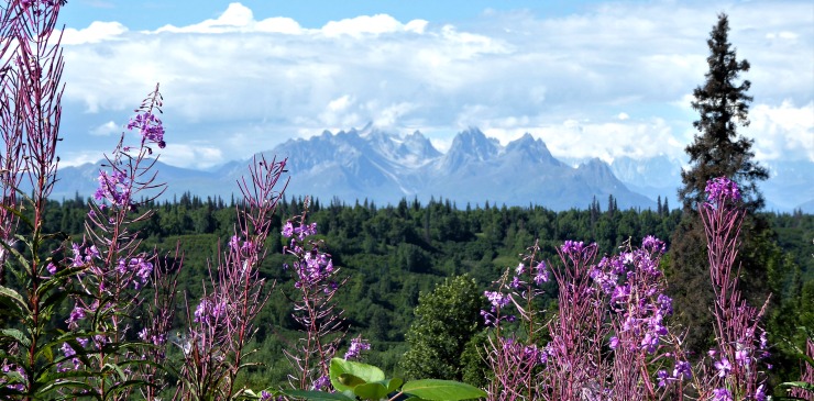 Alaska