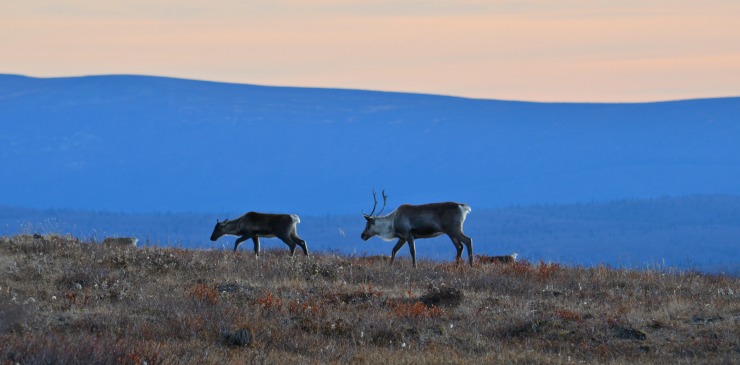 Alaska