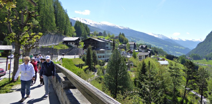 Alpine Mountain Magic