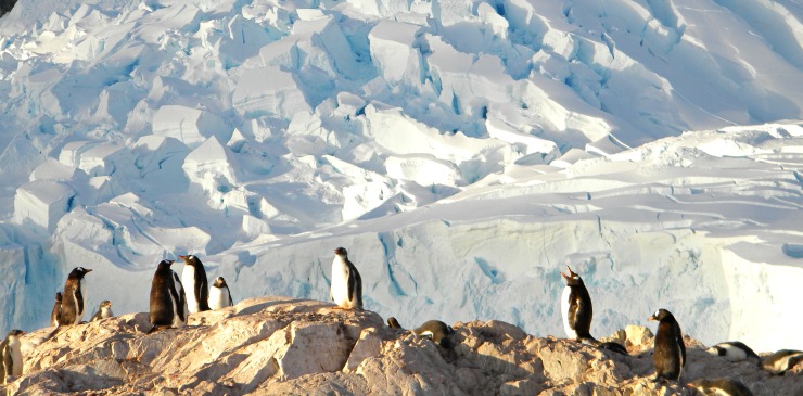 Antarctica