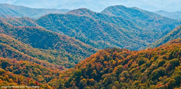 Appalachian Trail Great Smoky Mountains (1)
