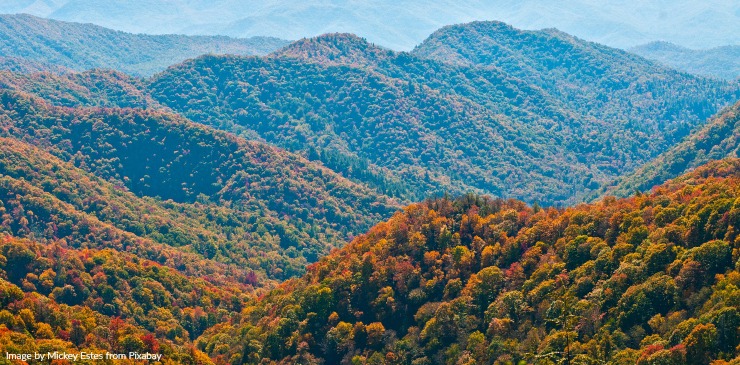 Appalachian Trail Great Smoky Mountains (2) Appalachian Trail Great Smoky Mountains (1)