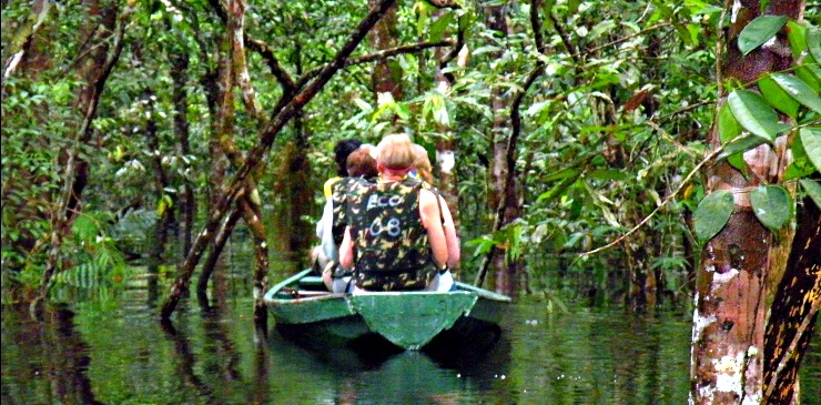 Brazil Amazon