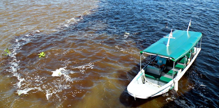 Brazil Amazon
