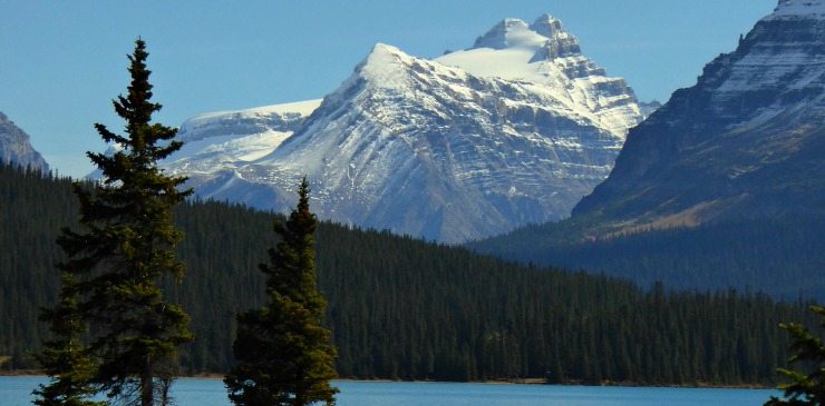 CVF Convention 2020 Canada (4)
