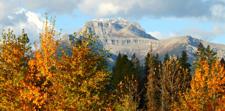 Canada Alberta Banff Walk