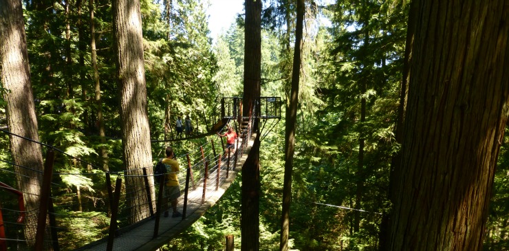 Canada British Columbia Vancouver Capilano Suspension Bridge