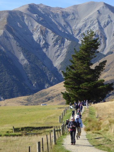 Castle Hill walk in foothills of Southern Alps