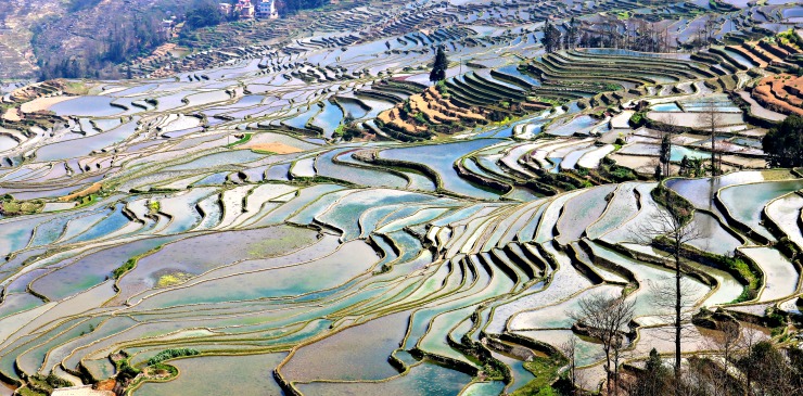 China Yunnan Yuanyang Rice Terraces