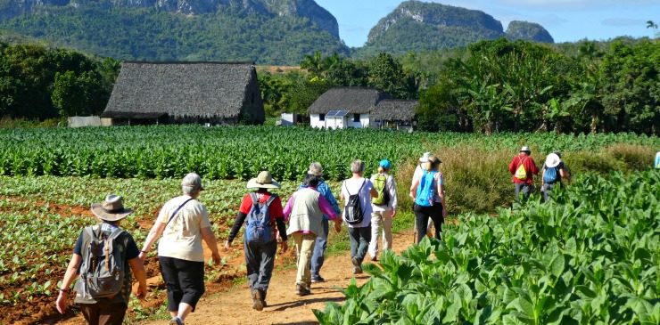Cuba Vinales National Park