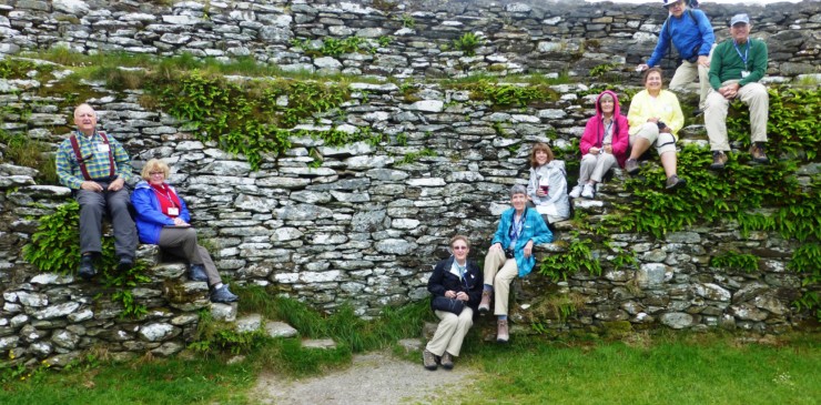 D5, IRE14 #920-001 sitting on a stone fence