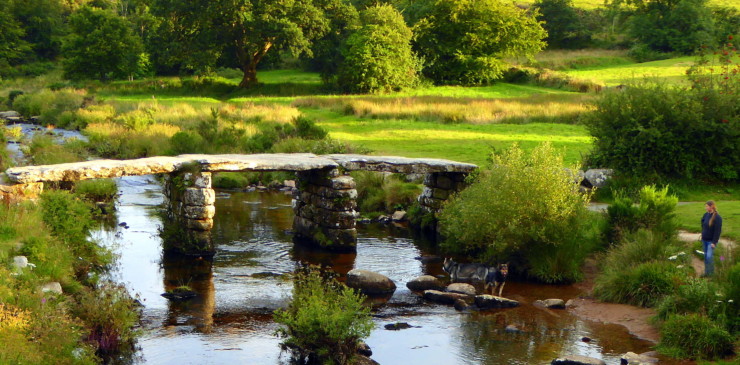 Dartmoor, Wales PT 2015 #040-002