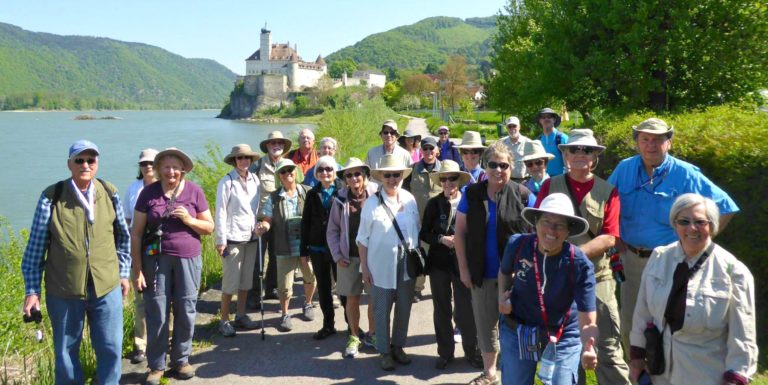 walking tours for seniors