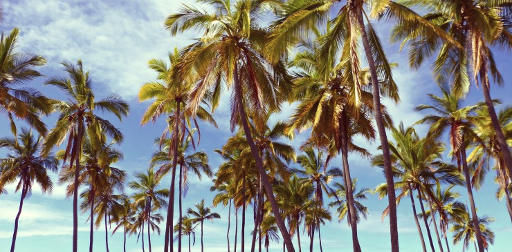 Florida Keys at Christmas