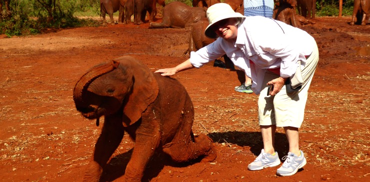 Kenya David Sheldrick Wildlife Trust Elephant Orphanage