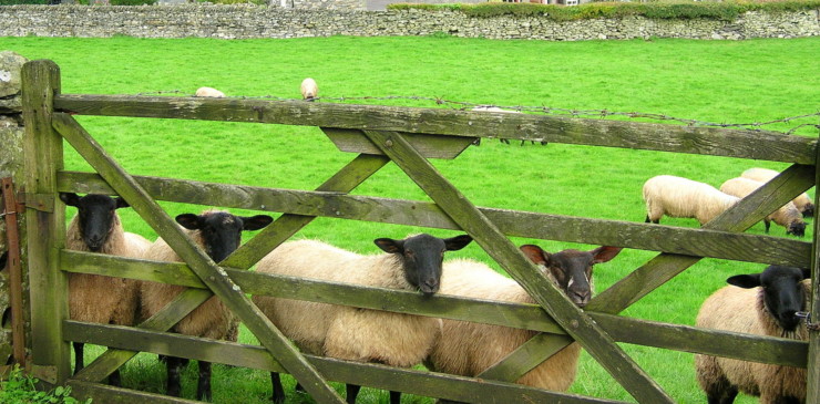 Lake District, ENG06 #6679 (cropped)