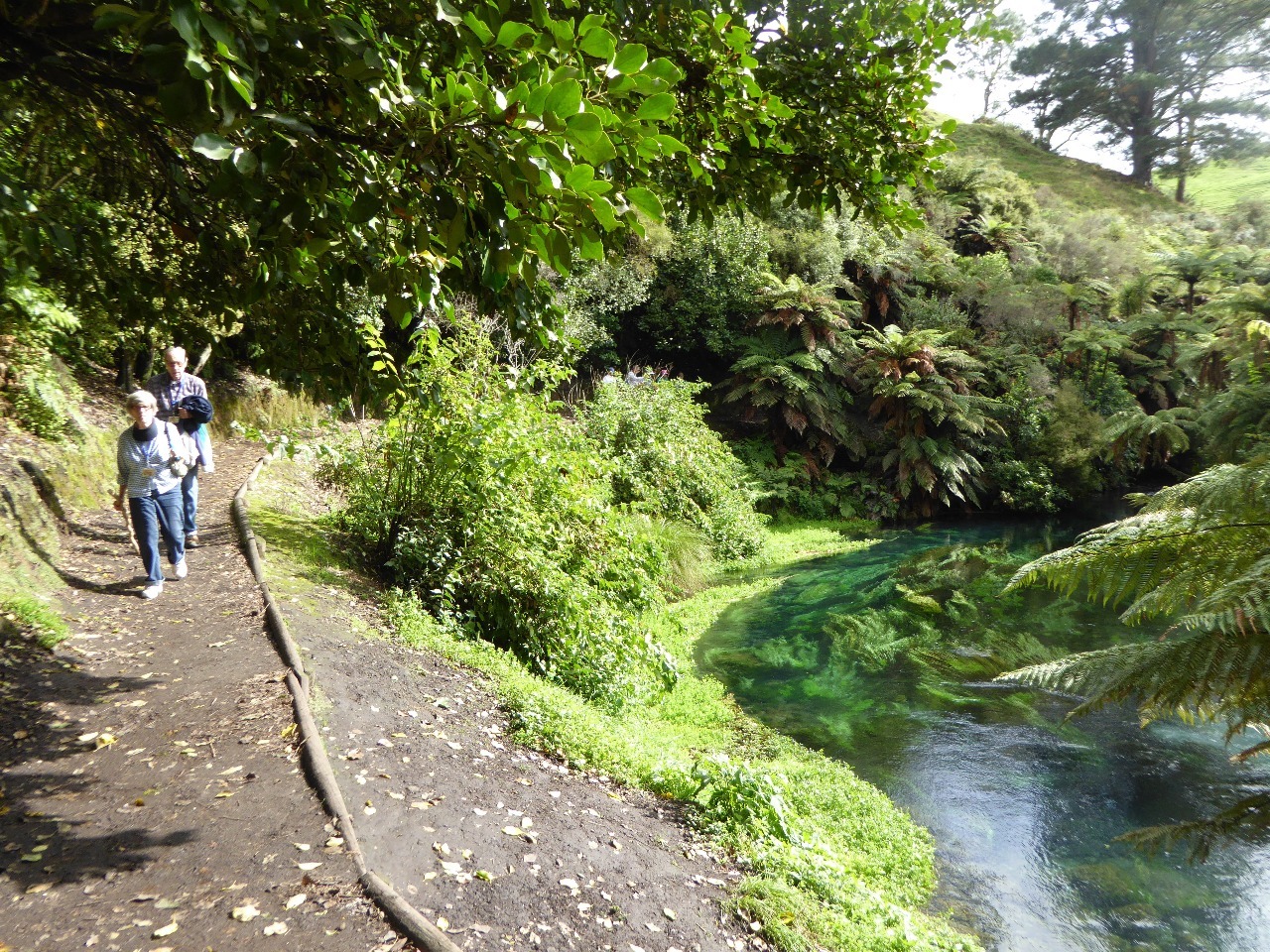 Le Ora trekking along the Te Waihou Stream