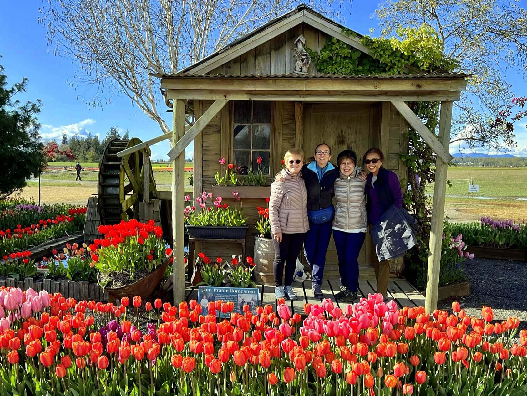 San Juan Island & Skagit Valley Tulip Festival 2026