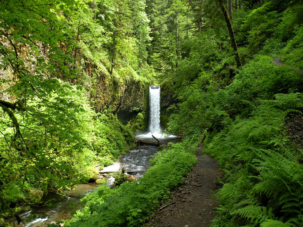 Oregon Columbia River Gorge Waterfall