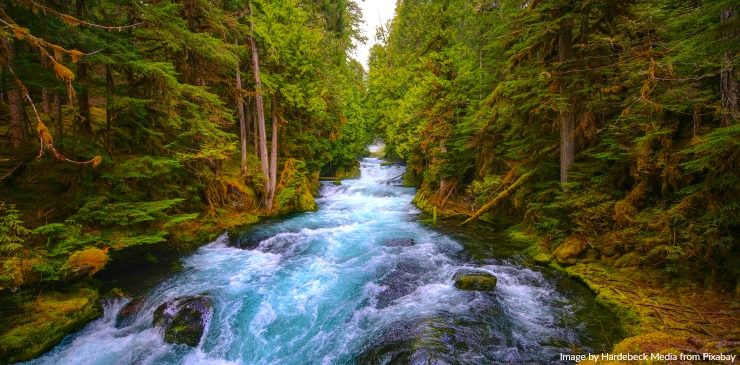 Oregon McKenzie River