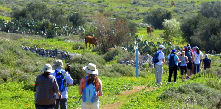 walking group in green field