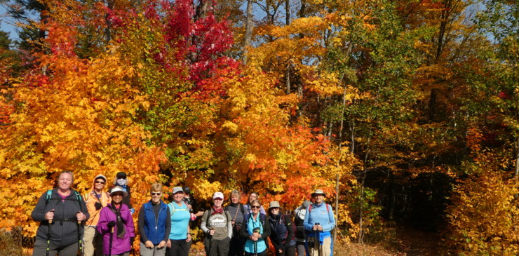 Portland, ME-Wilton, ME--APP21#2 #476 (group)-001 Brilliant foliage