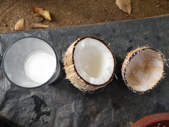 Nut with flesh in middle, scrapped clean on right; cooking milk on left.