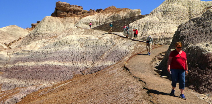 St Johns, Petrified Forest, Holbrook, AZ21 #598-003