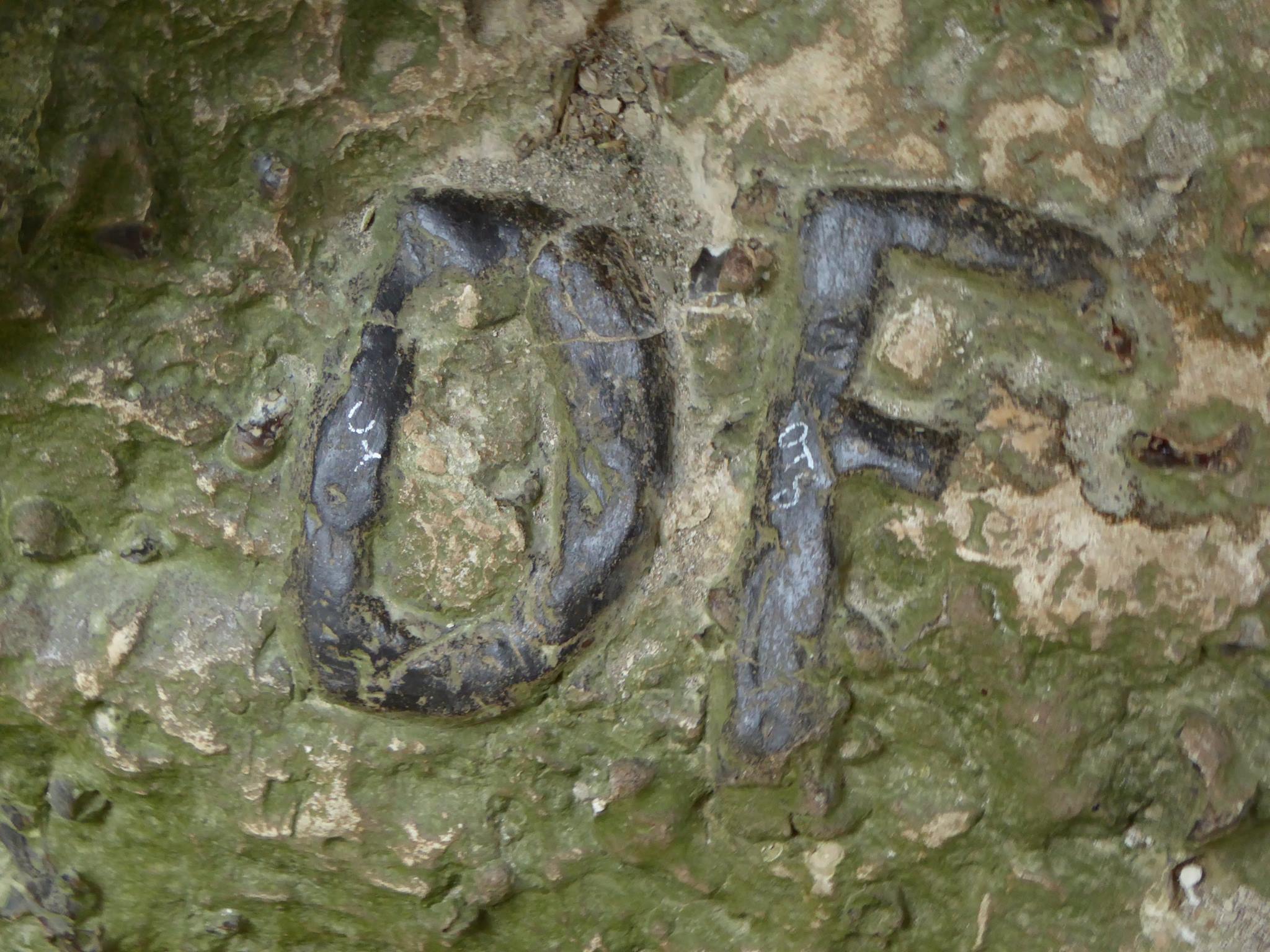 These are my initials, but I did NOT deface this cliff!