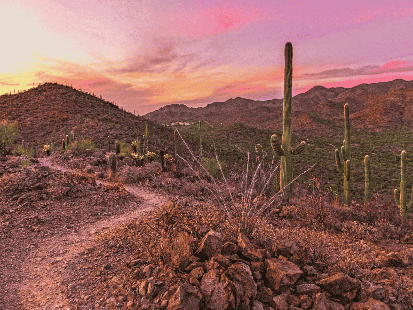 Tucson Rendezvous 2026