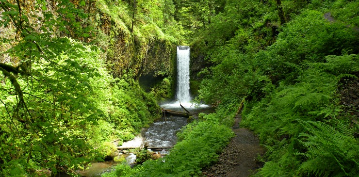 United States Oregon Columbia Gorge Waterfall